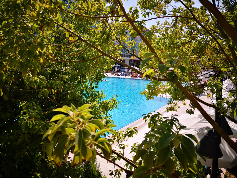 Pool Commodore Elite Suites & Spa - Adults only