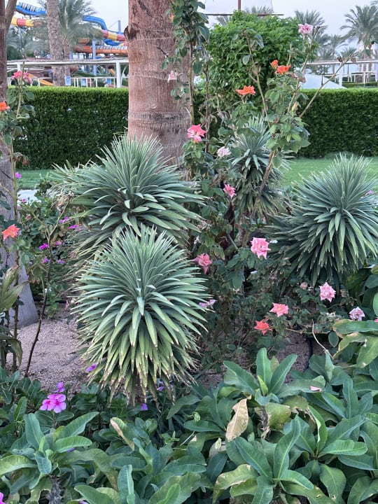 Gartenanlage Jaz Aquaviva