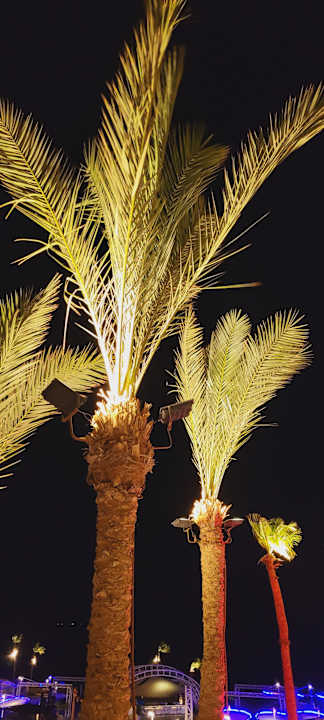 Gartenanlage Pickalbatros Citadel Resort