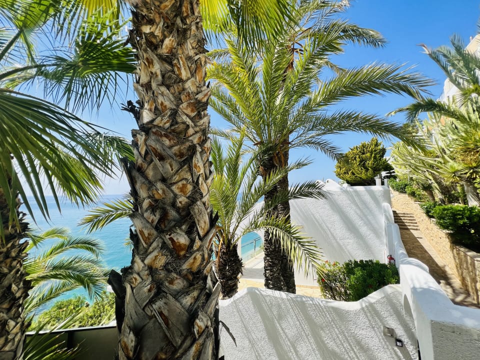 Gartenanlage Hotel Servigroup Montiboli