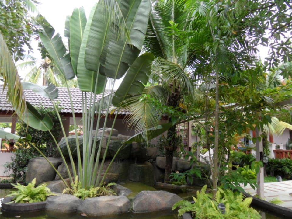 Tropengarten Fanari Khaolak Resort