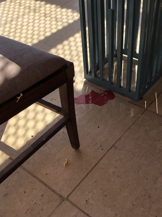 Gastro Stella Garden Resort & Spa, Makadi Bay