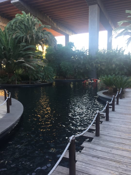 Gartenanlage Lopesan Baobab Resort
