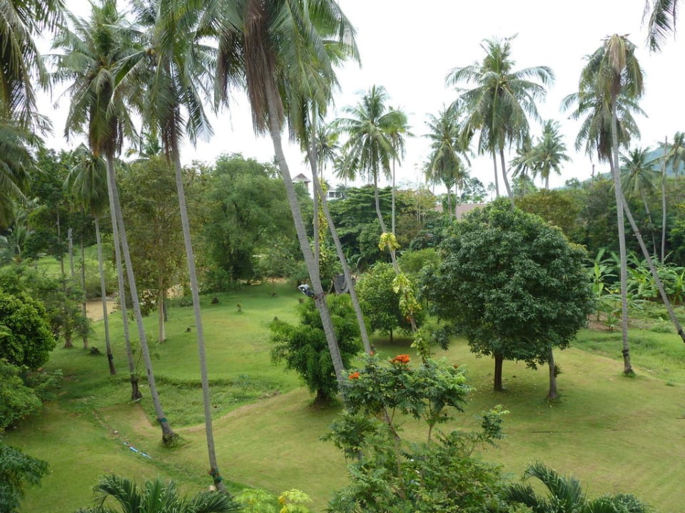 Hotelanlage The Fair House Beach Resort