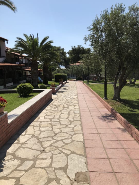 Gartenanlage Blue Dolphin Resort Hotel