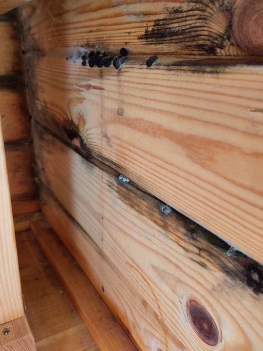 Zimmer Waldferienpark Gerolstein