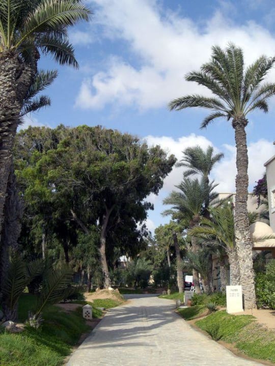 Tolle Gartenanlage Zita Beach Resort