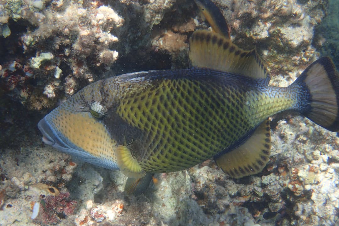 Strand Brayka Bay Resort