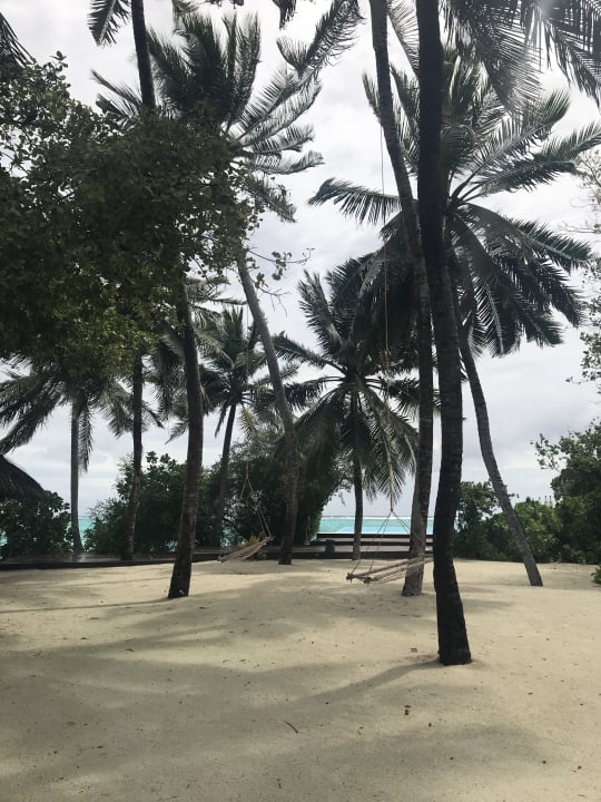 Strand Summer Island Maldives