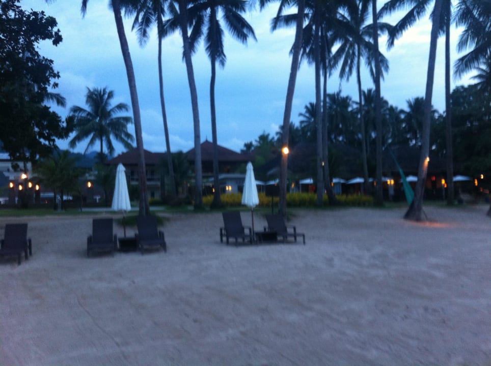 Strand-Vorsicht,viele Strandmücken,sowie Ameisen! Hotel Sheridan Beach Resort