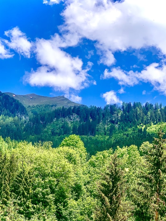 Ausblick Sendlhofer's