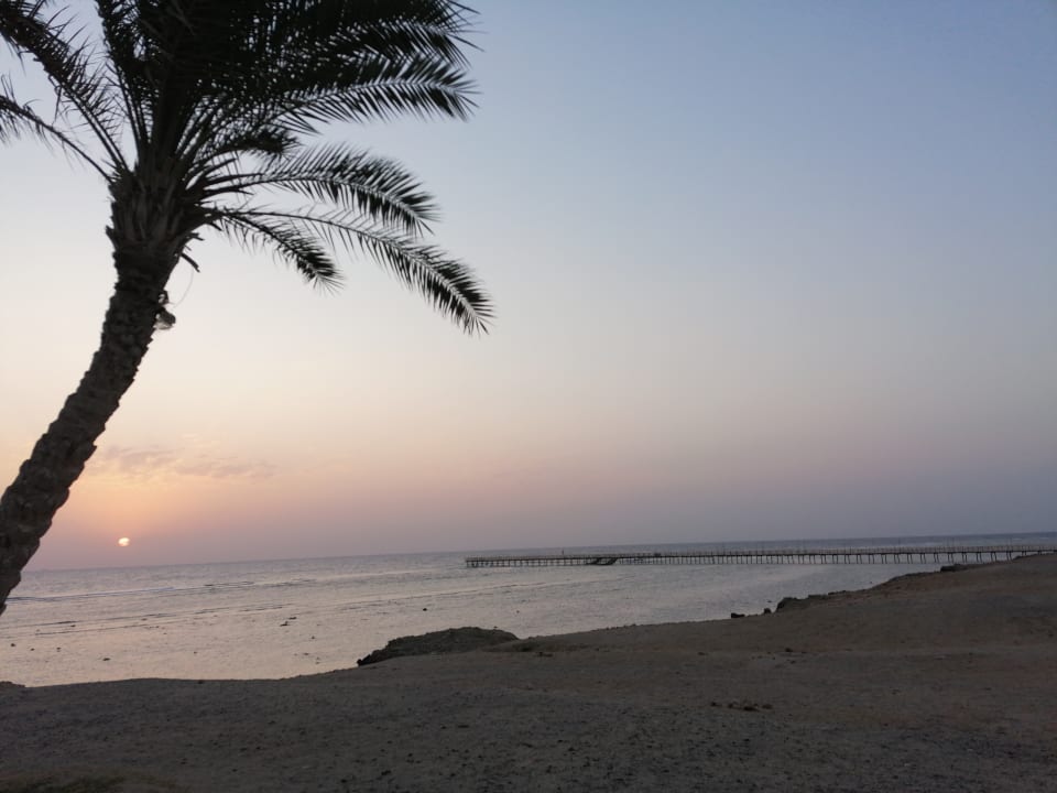 Strand Hotel Gorgonia Beach Resort