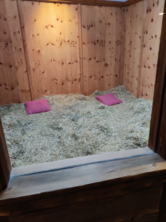 Sport & Freizeit Hotel Kohlerhof