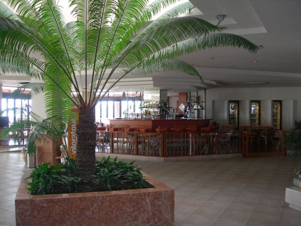 Die Bar im Haupthaus Atlantica Mikri Poli Rhodes