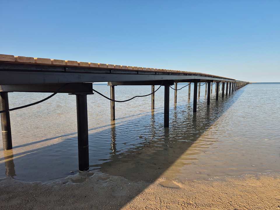 Strand JAZ Elite Asteria