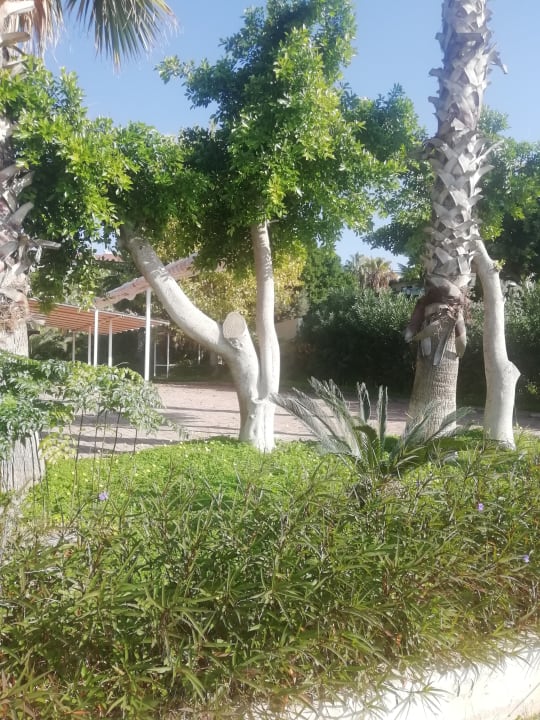 Gartenanlage Seaden Quality Resort & Spa