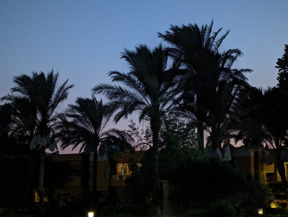 Gartenanlage Golden Beach Resort