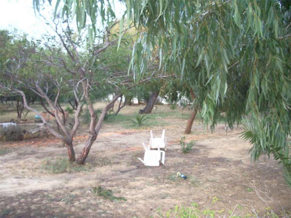 Garten Hotel Aqua Life Yasmine