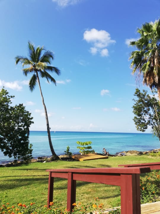 Ausblick Secrets La Romana Resort & Spa - Adult Only
