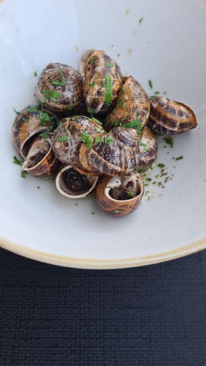 Gastro Harmony Boutique Resort