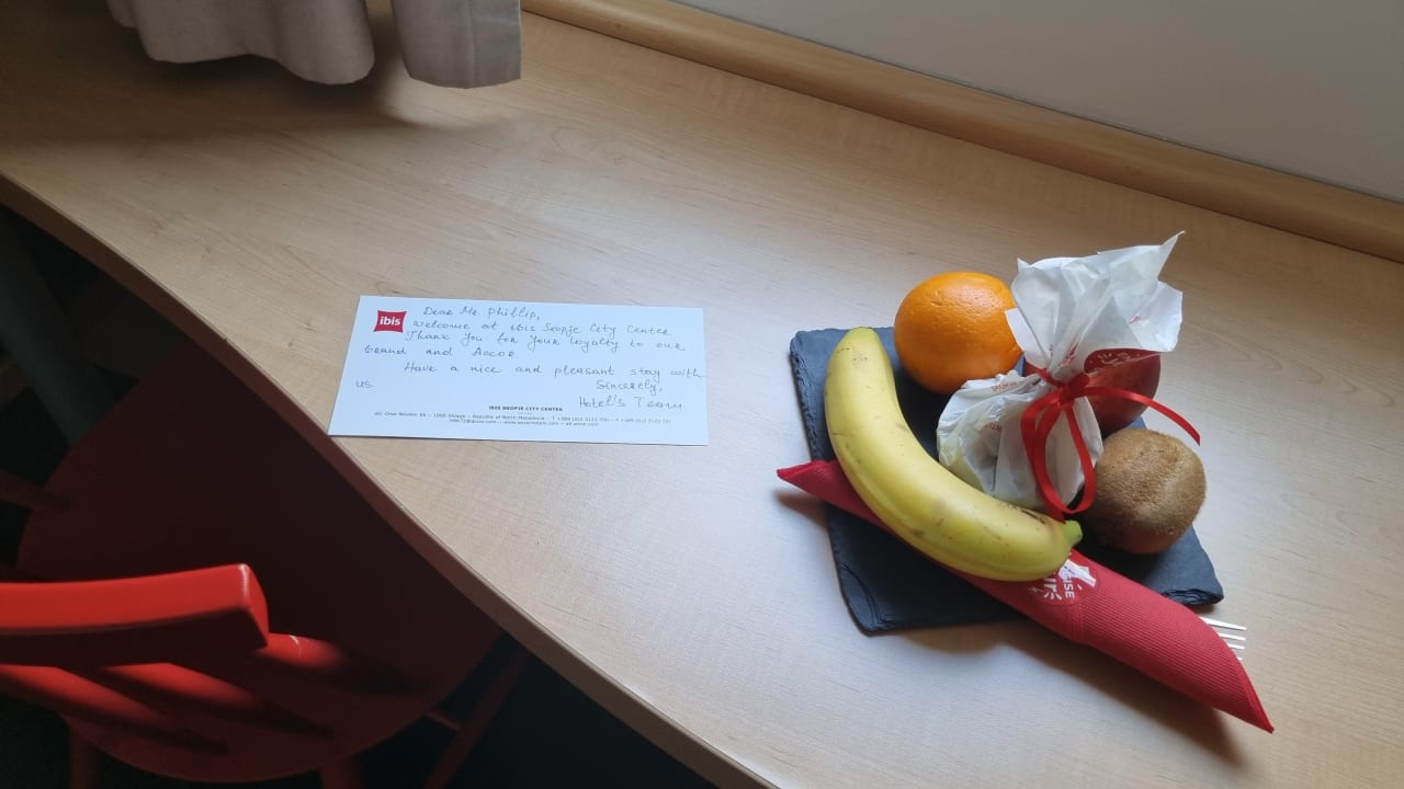 Zimmer ibis Hotel Skopje City Center