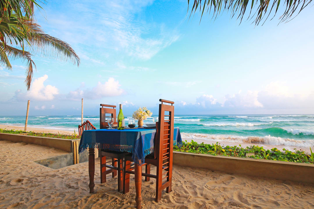 Ausblick Hotel Haus am Meer Wilde Ananas