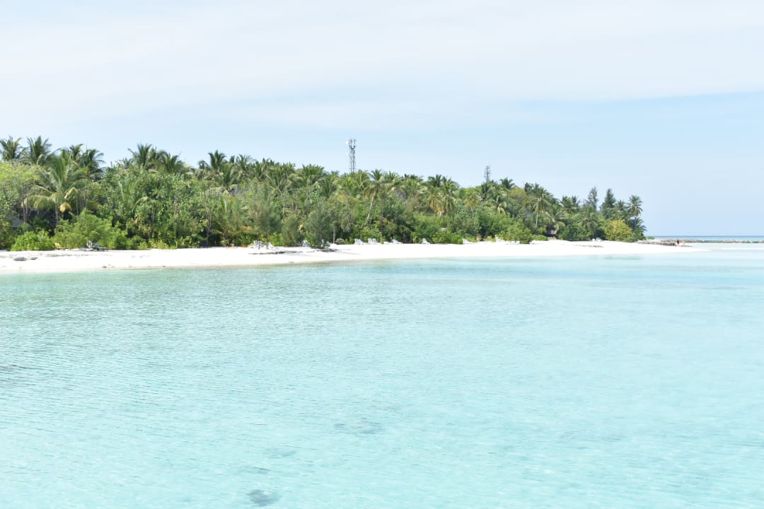 Strand Summer Island Maldives