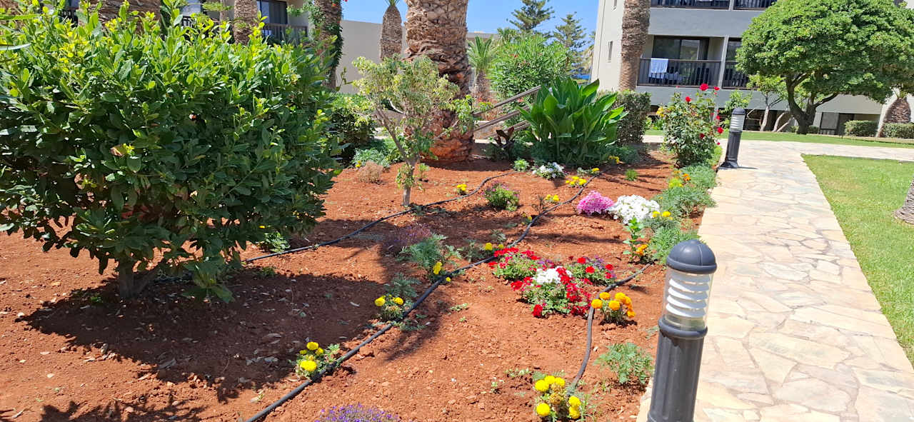 Gartenanlage allsun Hotel Malia Beach