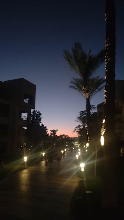 Gartenanlage Jaz Soma Beach