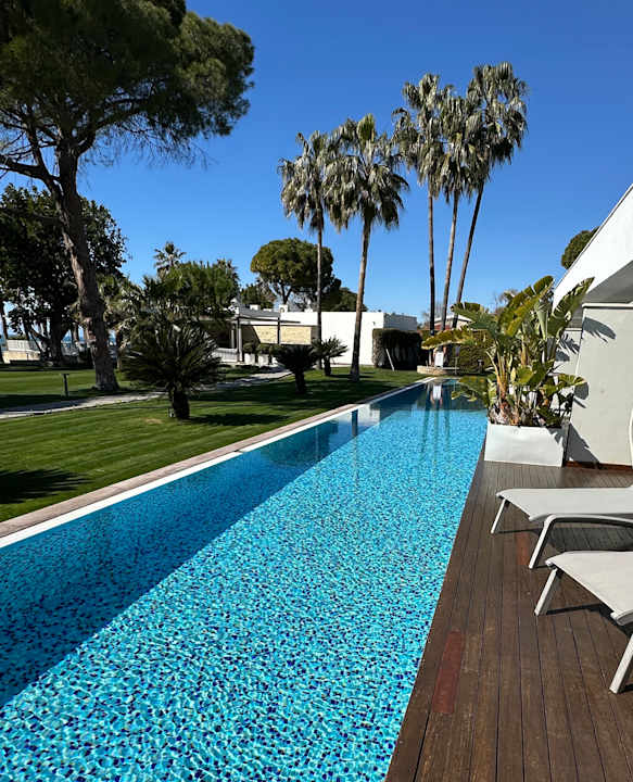 Pool Acanthus Cennet Barut Collection