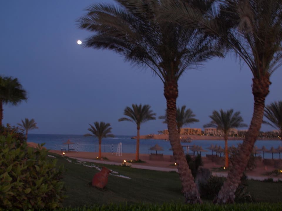 Strand Steigenberger Coraya Beach - Adults only