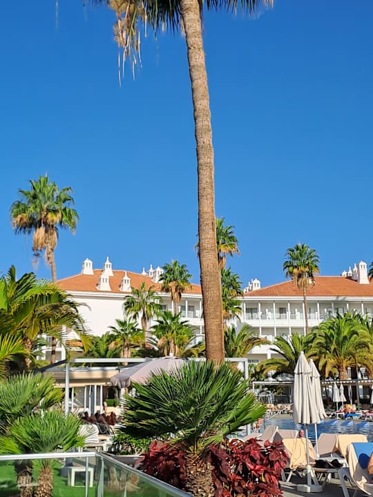 Gartenanlage Hotel Riu Arecas - Adults only