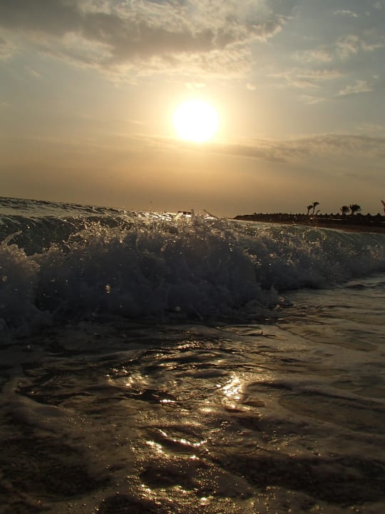 ..... Malikia Resort Abu Dabbab