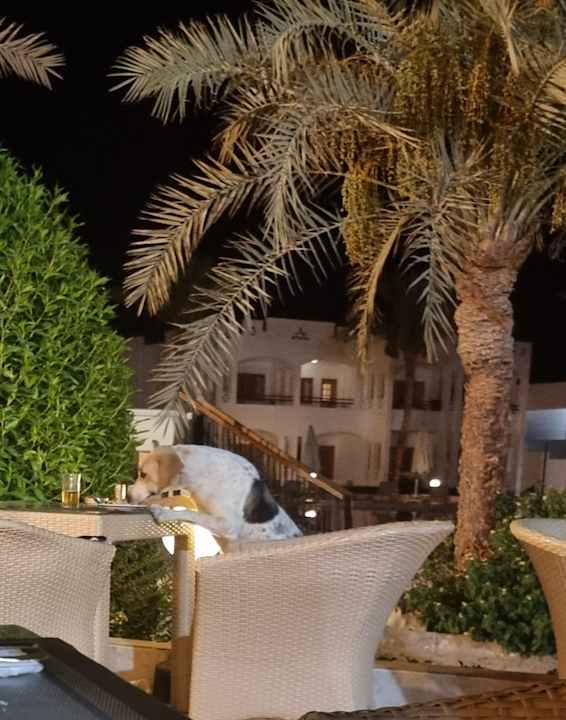 Gastro Happy Life Village