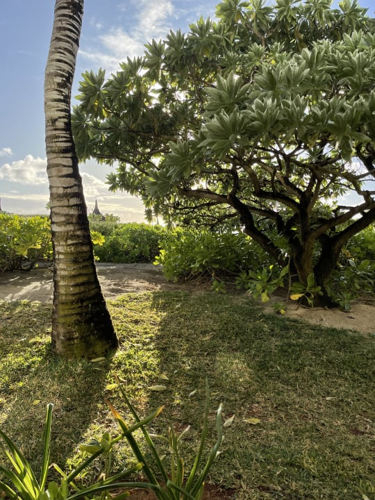 Gartenanlage Radisson Blu Poste Lafayette Resort & Spa - Adults only