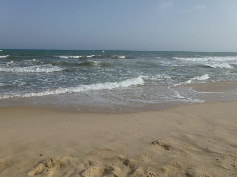 Strand von Hotel! Hotel Royal Nozha