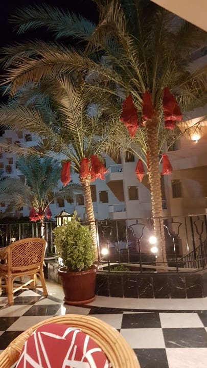 Ausblick Sea Star Beau Rivage