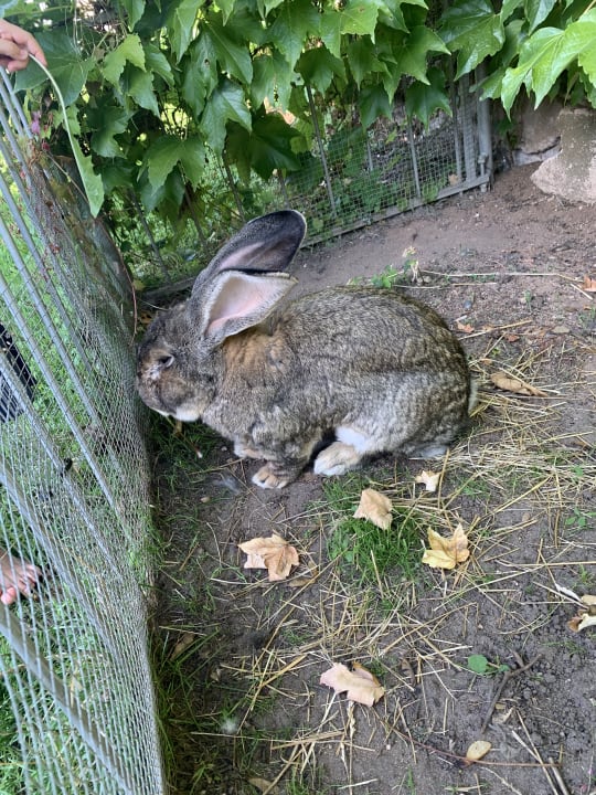 Sport & Freizeit Ferienhof Lehner am Rothsee