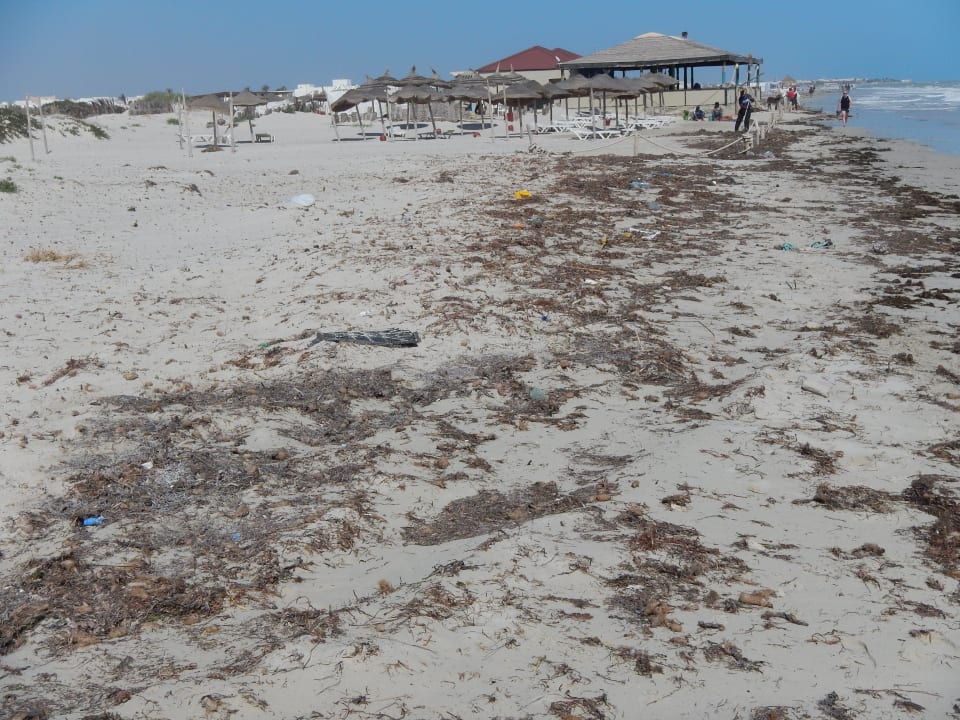 Abfall und Deck häften sich wohl über lange Zeit Djerba Plaza Thalasso & Spa