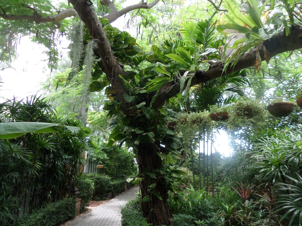 Gartenanlage Laksasubha Hua Hin