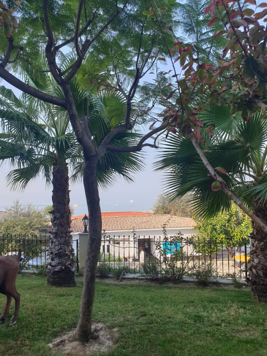 Garten Alba Queen Hotel