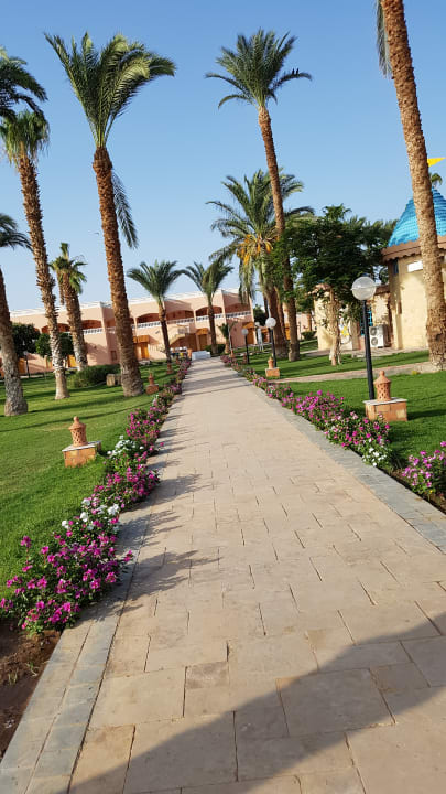 Gartenanlage Beach Albatros Resort