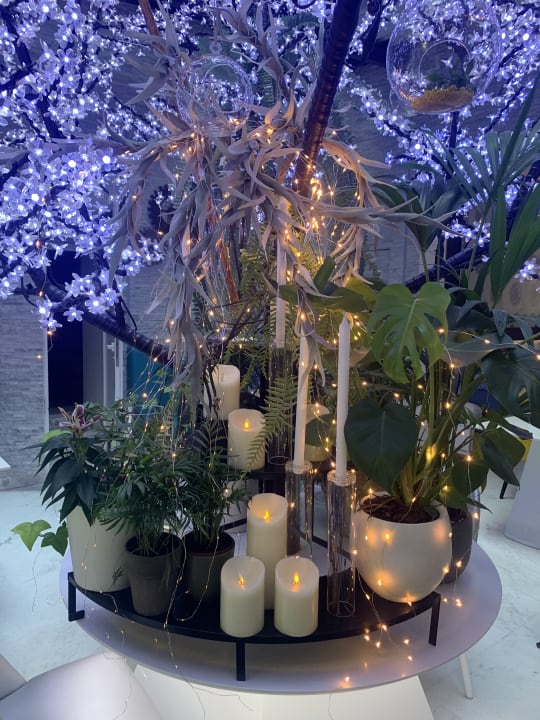 Sonstiges Hotel Francisco I