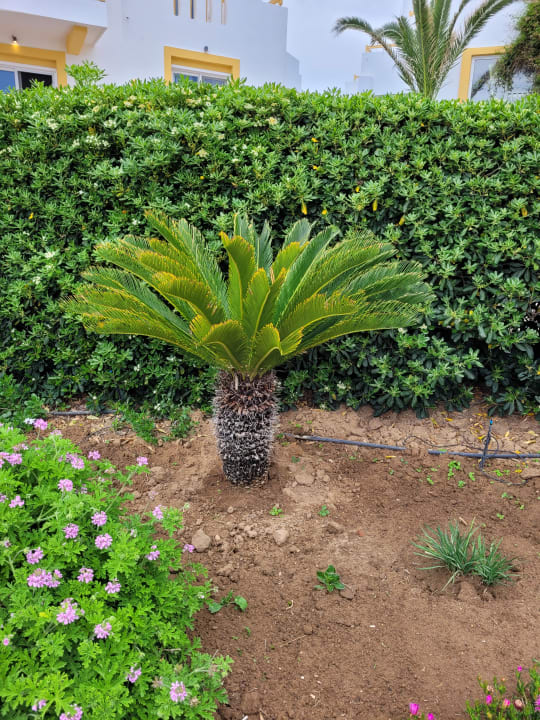 Gartenanlage Mastichari Bay Hotel