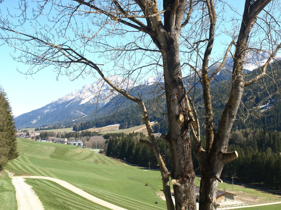 Ihr Ausblick von den Wohnungen Bauernhof Haubenthal