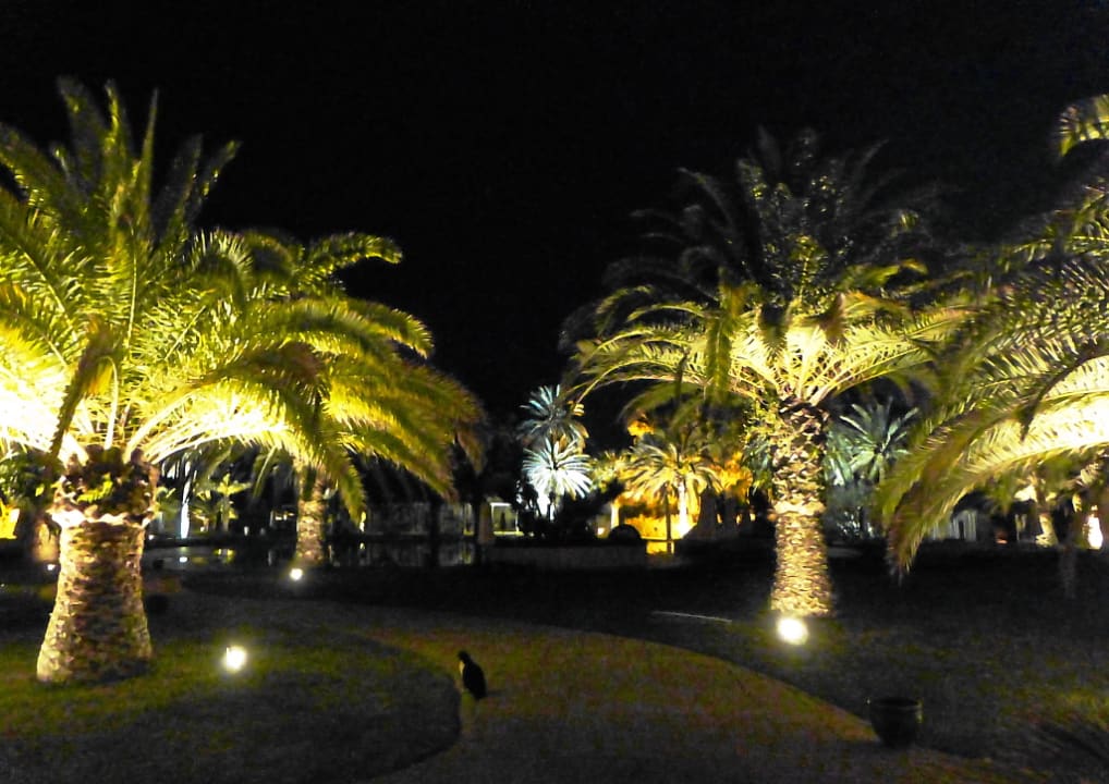 Gartenanlage Oceana Hotel & Spa