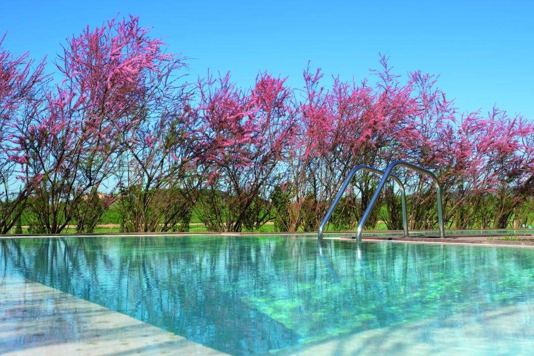 Pool La Malcontenta Hotel