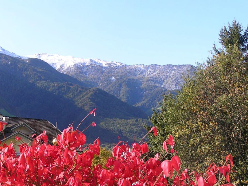Aussicht vom Balkon Feldhof DolceVita Resort