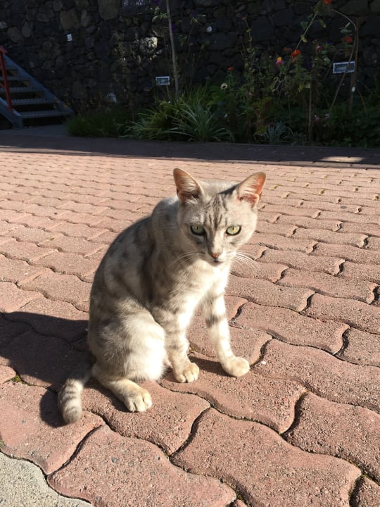 Sonstiges Apartments Quinta De Santana