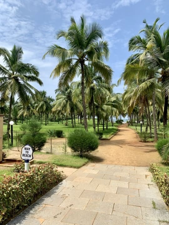 Gartenanlage Novotel Goa Dona Sylvia Resort